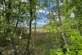 26.000 m2 zemljišta, od čega 5.000 građevinskog, kuća, garaža, Marčana, Terreno