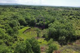 26.000 m2 zemljišta, od čega 5.000 građevinskog, kuća, garaža, Marčana, أرض