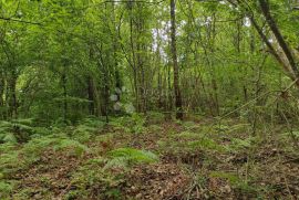 Samodostatno imanje nedaleko grada s izvorom, bez neposrednih susjeda, Gvozd, Land