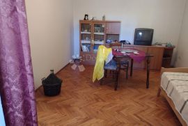 Kuća s 2 stana, uredno održavana i odmah useljiva, Gvozd, Famiglia