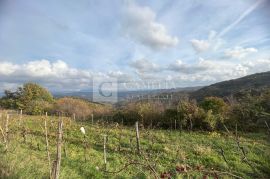 Istra Kašćerga vrhunsko zemljište sa građevinskom dozvolom!, Pazin - Okolica, Arazi