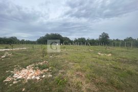 Istra investicija 27 000 m2 šarmantna zemlja velikog potencijala!, Svetvinčenat, Terra