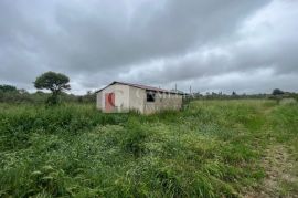 Istra Pula poljoprivredno zemljište sa objektom!, Pula, Terreno