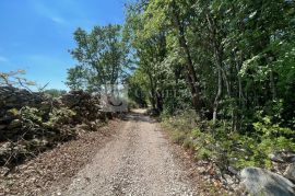 Istra Barban šarmantno zemljište u mirnom selu!, Barban, Tierra