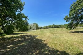 Istra okolica Barbana vrhunsko građevinsko zemljište 6700 m2!, Barban, Terrain