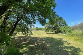 Istra okolica Barbana vrhunsko građevinsko zemljište 6700 m2!, Barban, Arazi