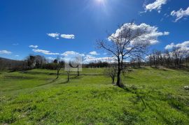 Istra izuzetno šarmantno imanje 40 000 m2 sa kamenom starinom !, Kršan, Land