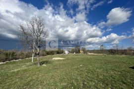 Istra Tinjan 7000 m2 građevinsko zemljište!, Tinjan, Tierra