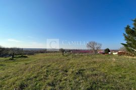 Istra vrhunsko zemljište sa građevinskom dozvolom 7 km od mora!, Marčana, Land