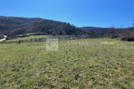 Istra vrhunsko zemljište s pogledom na jezero!, Pazin - Okolica, Land