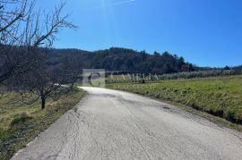 Istra vrhunsko zemljište s pogledom na jezero!, Pazin - Okolica, Земля