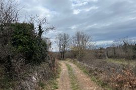 Istra atraktivno zemljište 970m okolica Barbana, Barban, Zemljište