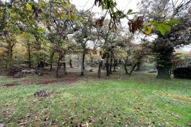 Lovran šarmantan teren u šumi kestena!, Opatija - Okolica, Terreno