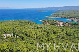 Kameno selo u Basini, Stari Grad, House