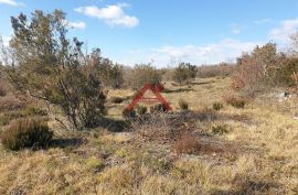 Marčana- Istra, Vikend-parcela 1467 m2 prodaja!, Marčana, Terreno