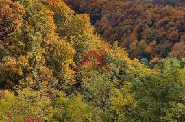 Trakoščan, samostojeća kuća sa velikom okućnicom, Bednja, Kuća