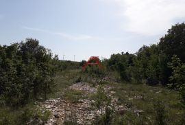 PRIDRAGA- Poljoprivredno zemljište- 5 E/m2, Novigrad, Terreno