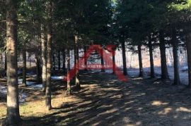 Lukovo dvije vikendice okružene šumom, Vinodolska Općina, Ev