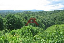 Gornja Voća, 6,7 ha, Parcela u komadu sa 4 ruševna objekta, Donja Voća, Земля