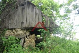 Gornja Voća, 6,7 ha, Parcela u komadu sa 4 ruševna objekta, Donja Voća, Tierra