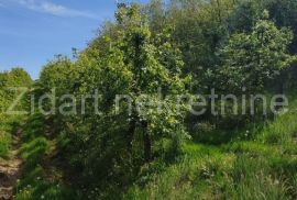 Aranđelovac, Darosava, plac 3,3ha, Land