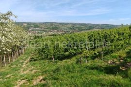 Aranđelovac, Darosava, plac 3,3ha, Land