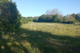 Prostrano građevinsko zemljište u okolici Pazina, Pazin - Okolica, Terrain