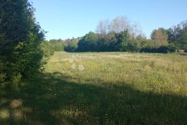 Prostrano građevinsko zemljište u okolici Pazina, Pazin - Okolica, Tierra