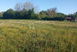 Prostrano građevinsko zemljište u okolici Pazina, Pazin - Okolica, Land