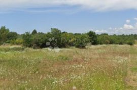 Izvrsno Poljoprivredno Zemljište s Pristupnim Putem i Vodom u Fažani, Fažana, Terrain