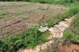 Istra, Ližnjan, građevinsko zemljište 1650 m2 #prodaja, Ližnjan, Terrain