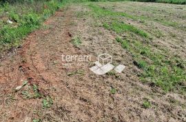 Istra, Ližnjan, građevinsko zemljište 1650 m2 #prodaja, Ližnjan, Terrain