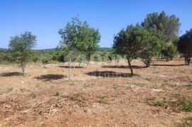 ISTRA, MEDULIN - Građevinsko zemljište za vilu na mirnoj lokaciji!, Medulin, Land