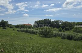 ISTRA, ROVINJ - Građevinsko zemljište za izgradnju dvije kuće, Rovinj, Arazi