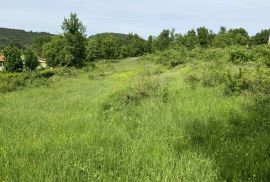 Građevinsko zemljište s objektom na mirnoj lokaciji, Grožnjan,okolica, Istra, Grožnjan, أرض