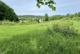 Građevinsko zemljište s objektom na mirnoj lokaciji, Grožnjan,okolica, Istra, Grožnjan, Tierra