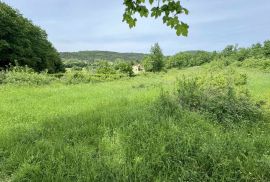 Građevinsko zemljište s objektom na mirnoj lokaciji, Grožnjan,okolica, Istra, Grožnjan, Terreno