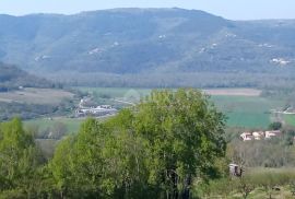 ISTRA, MOTOVUN, OKOLICA - Kompleks građevinskog i poljoprivrednog zemljišta na osami s pogledom na Motovun, Motovun, Terrain