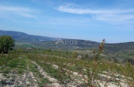 ISTRA, MOTOVUN, OKOLICA - Kompleks građevinskog i poljoprivrednog zemljišta na osami s pogledom na Motovun, Motovun, Terrain