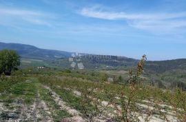 Kompleks zemljišta s otvorenim pogledom na Motovun, Motovun, Γη