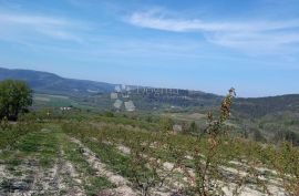 Kompleks zemljišta s otvorenim pogledom na Motovun, Motovun, Land