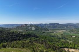 Kompleks zemljišta s otvorenim pogledom na Motovun, Motovun, Terrain