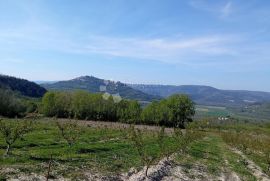 Kompleks zemljišta s otvorenim pogledom na Motovun, Motovun, Land