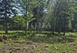 Bribir - Lukovo šuma teren za vikendicu, Vinodolska Općina, Arazi