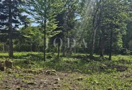 Bribir - Lukovo šuma teren za vikendicu, Vinodolska Općina, Land