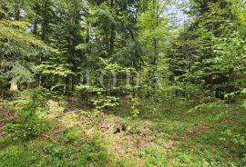 Bribirska šuma teren na prodaju, Vinodolska Općina, Terrain