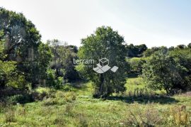 Istra, Svetvinčenat, Štokovci, građevinsko i poljoprivredno zemljište 9270m2  #prodaja, Svetvinčenat, Terrain