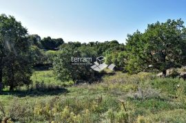 Istra, Svetvinčenat, Štokovci, građevinsko i poljoprivredno zemljište 9270m2  #prodaja, Svetvinčenat, Terrain