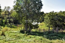 Istra, Svetvinčenat, Štokovci, građevinsko i poljoprivredno zemljište 9270m2  #prodaja, Svetvinčenat, Terrain