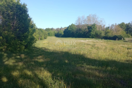 ISTRA,PAZIN - Prostrano građevinsko zemljište nedaleko centra grada, Pazin, Land